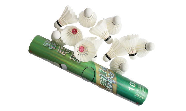 Shengjie 102 Entertainment Badminton