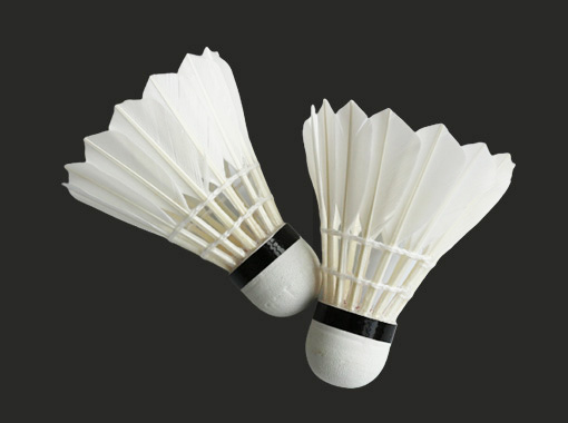 Entertainment Badminton