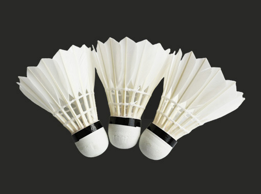 Entertainment Badminton