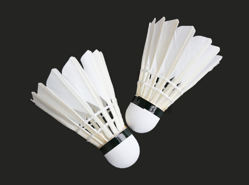 Entertainment Badminton