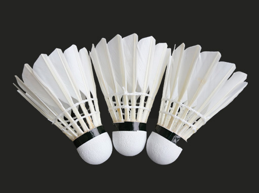 Entertainment Badminton