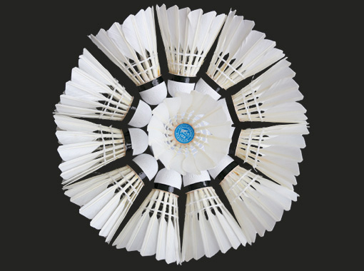 Entertainment Badminton