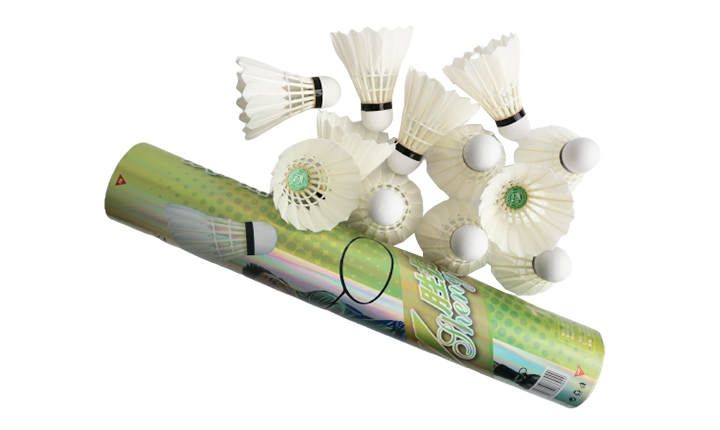 Shengjie 104 Entertainment Badminton