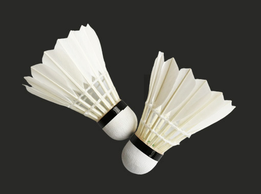 Entertainment Badminton