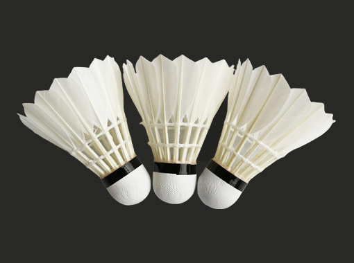 Entertainment Badminton