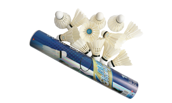 Shengjie 105 Entertainment Badminton