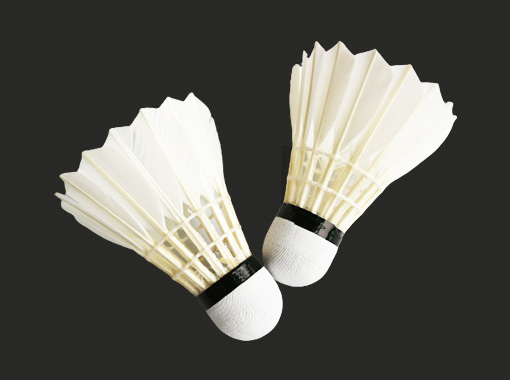 Entertainment Badminton