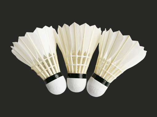 Entertainment Badminton