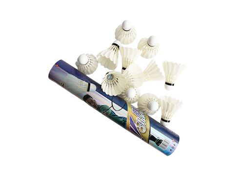 Shengjie 106 Entertainment Badminton