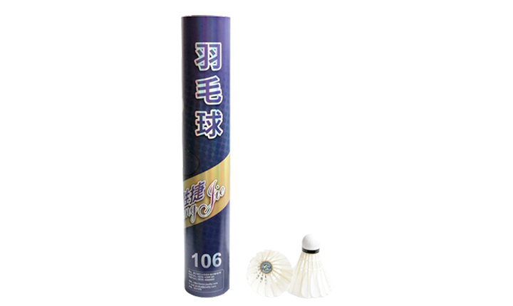 Shengjie 106 Entertainment Badminton