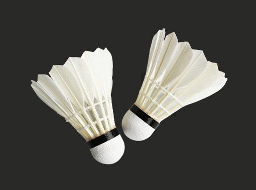 Entertainment Badminton