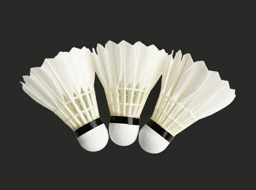 Entertainment Badminton