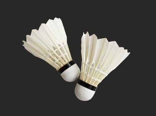 Entertainment Badminton