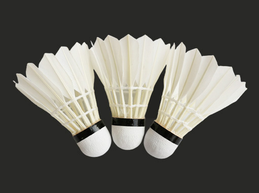 Entertainment Badminton