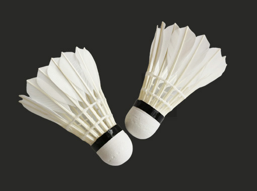 Entertainment Badminton