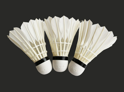 Entertainment Badminton