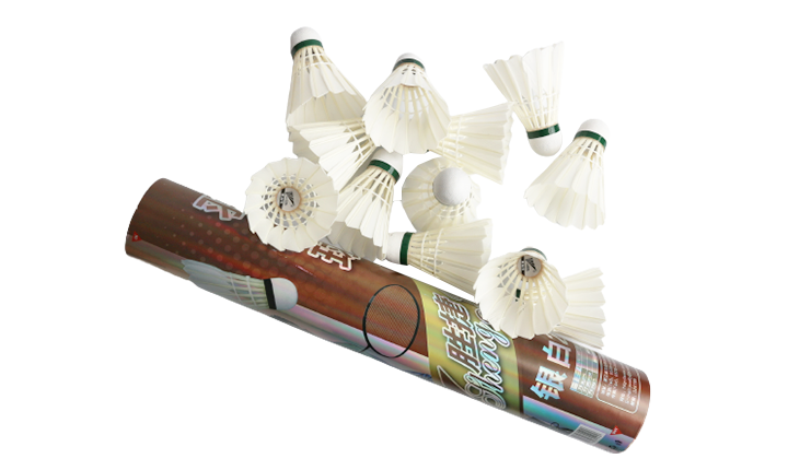 Shengjie 201 Entertainment Badminton
