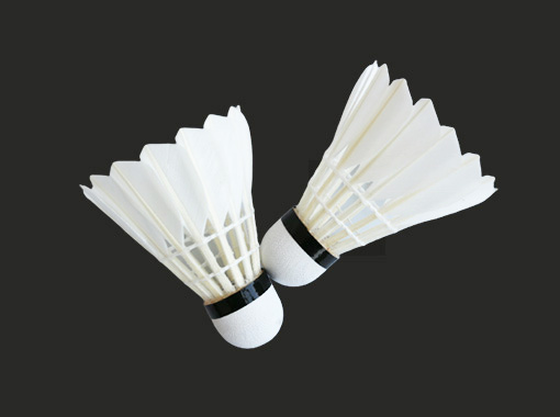 Entertainment Badminton