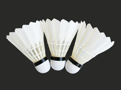 Entertainment Badminton