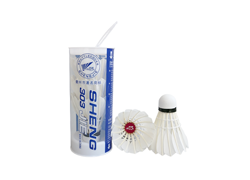 Shengjie 303 Entertainment Badminton