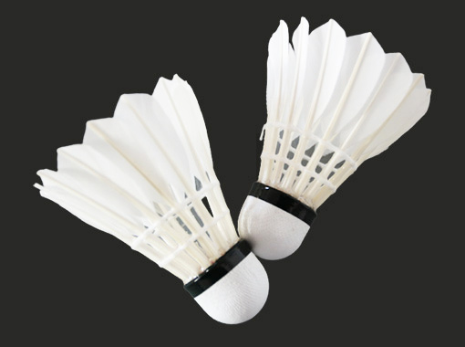 Entertainment Badminton