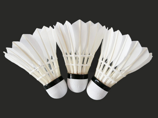 Entertainment Badminton