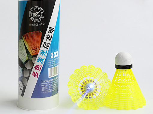 Entertainment Badminton