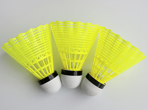 Entertainment Badminton
