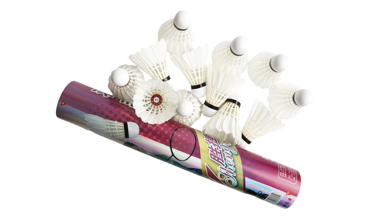 Shengjie 50 Entertainment Badminton
