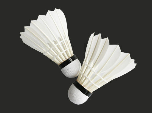 Entertainment Badminton