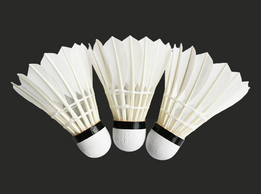 Entertainment Badminton