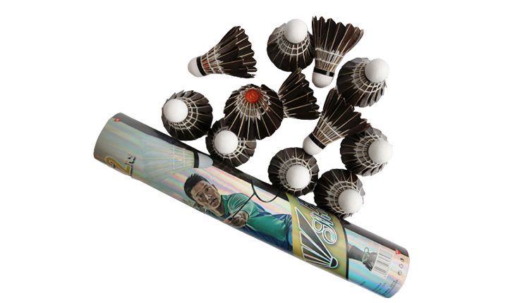 Shengjie 70 Entertainment Badminton