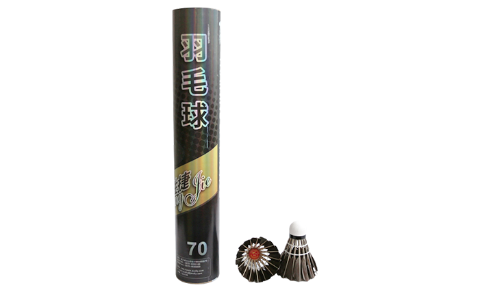 Shengjie 70 Entertainment Badminton