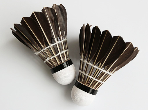 Entertainment Badminton