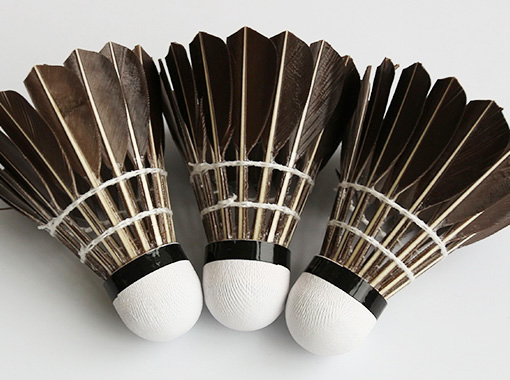 Entertainment Badminton