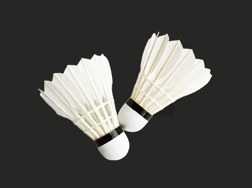 Entertainment Badminton