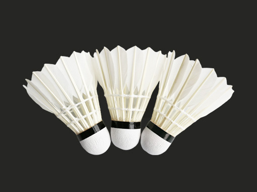 Entertainment Badminton