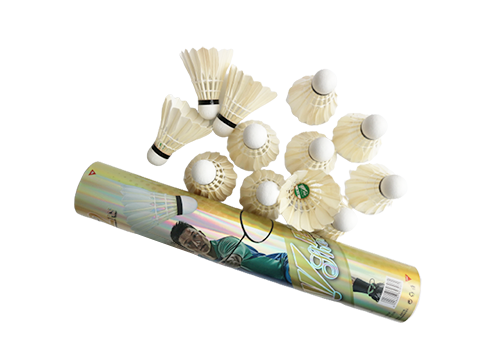 Shengjie Practice Badminton