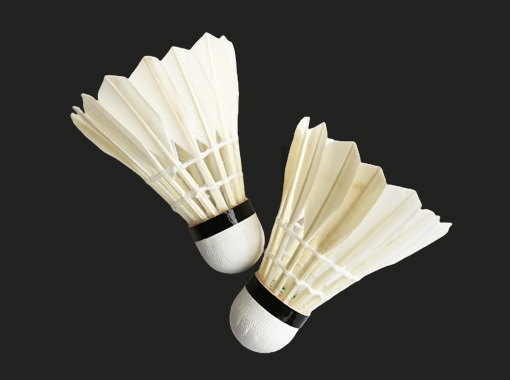 Entertainment Badminton