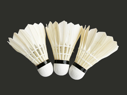 Entertainment Badminton