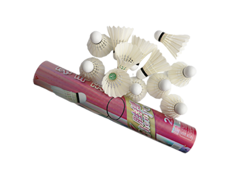 Shengjie Yinbai No.2 Badminton