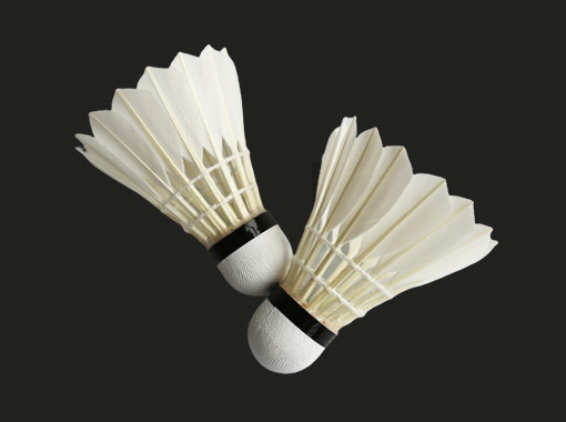 Entertainment Badminton