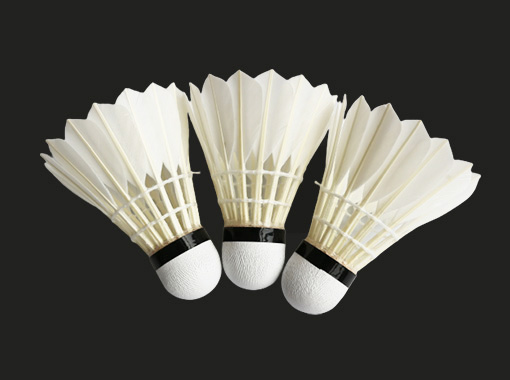 Entertainment Badminton