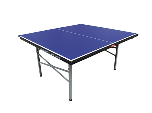 Table Tennis Table