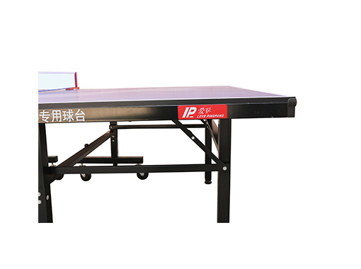 Table Tennis Table