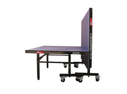 Table Tennis Table